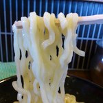 Tsuke Memma Naka - 麺アップ