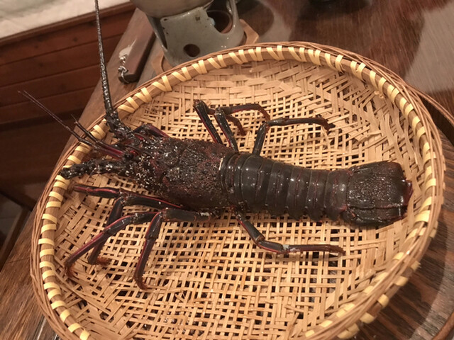花海鮮 とと 中之郷 魚介料理 海鮮料理 食べログ 花海鮮 とと 中之郷 魚介料理 海鮮料理 食べログ