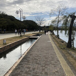 Inaba Udon - 大濠公園です。多くのサンデーランナーが走り続けています