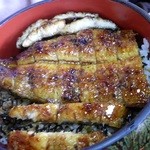 川広 - ミニでも十分一人前以上はあります・・