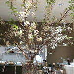 マンサルヴァ - 