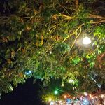 Pineapple Bar&Restaurant - 