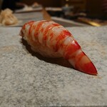 鮨 つぼみ - 車海老