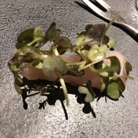 ル スプートニク - 2020/2