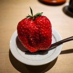 富小路 やま岸 - 