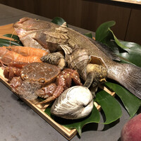 唐渡 - 