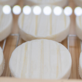 ハル フロマジュリ・カフェ_1