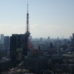 Hanasanshou - 25階からの景色　東京タワーが見える