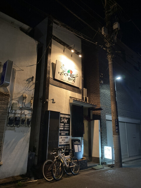 はぐれチキン 平塚 居酒屋 食べログ