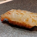 寿し おおはた - ぼたん海老の昆布締め