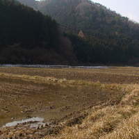 ろあん松田 篠山店 - 