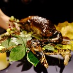 メインに出てくる真鴨。