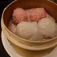 TAO-LI ～桃李～ - 