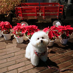 旬采 - エントランス前