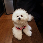 旬采 - 旬采〜大好き！！