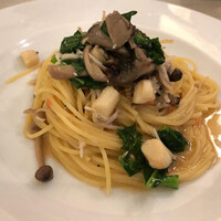 アマルフィイ・モデルナ - 