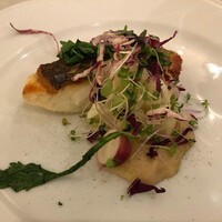 アマルフィイ・モデルナ - 