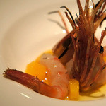 SIO syuji hijikuro - 