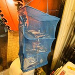 第八たから丸 - 