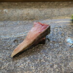 寿司栄 - 勝浦鯖　焼き霜