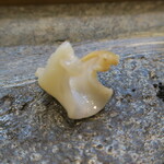 寿司栄 - 越中バイガイ