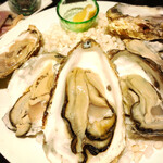 OYSTERBAR SHELL&SHRIMP - 