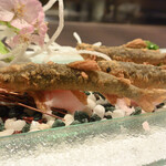 鮎知 - 稚鮎の踊り揚げ