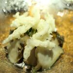 ドディチ・マッジョ - 