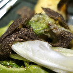 ドディチ・マッジョ - 