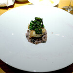 ドディチ・マッジョ - 