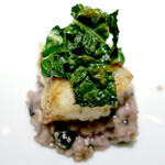 ドディチ・マッジョ - 