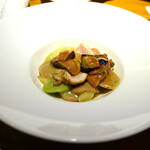 ドディチ・マッジョ - 