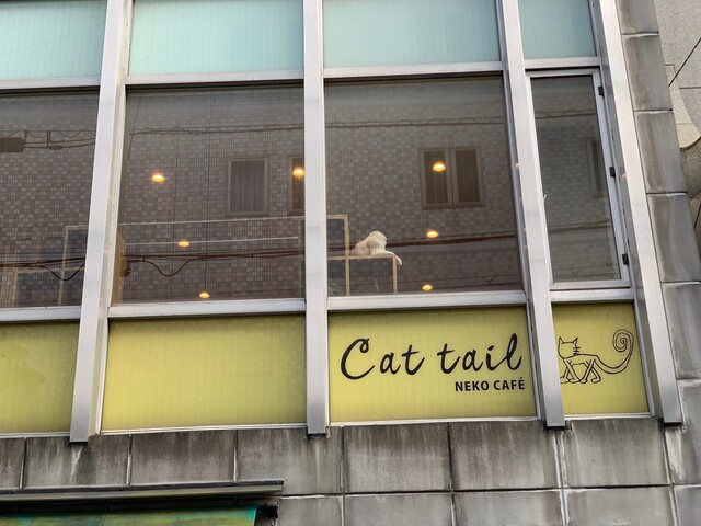 ネコカフェ キャットテイル Cattail 大阪難波 その他 食べログ