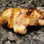 鳥さわ22 - かしわ