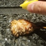 鳥さわ22 - せせり