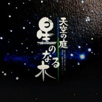 天空の庭　星のなる木 - 星空のイメージでしょうか。