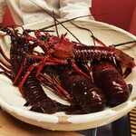 緒方 - 迫力ある伊勢海老