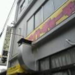 ホワイト餃子 岐阜店 岐阜 餃子 食べログ ホワイト餃子 岐阜店 岐阜 餃子 食べログ