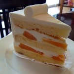 アンファン・ルミエール  - マンゴーショート