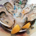 Oyster Bar ジャックポット - 