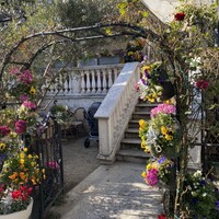 表参道バンブー - 