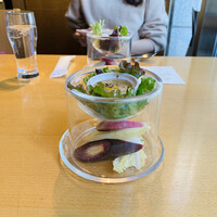 春秋ユラリ 恵比寿 - 