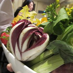 レストラン バカール - ラディキュオロッソ