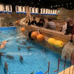 ジャンボ釣船 つり吉 - 