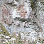 須崎食料品店 - 