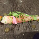 ジョンティ アッシュ - 