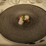 ジョンティ アッシュ - 