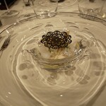 ジョンティ アッシュ - 