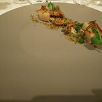 ジョンティ アッシュ - 