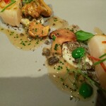 ジョンティ アッシュ - 